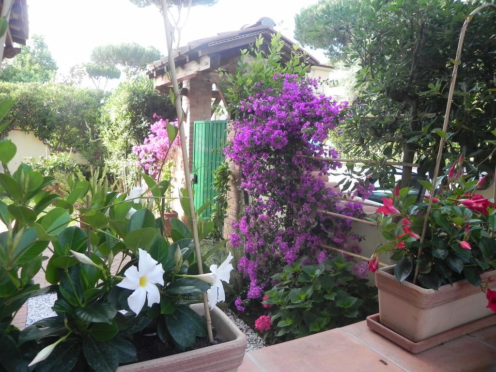 Villa Il Fortino Lido di Camaiore Eksteriør billede