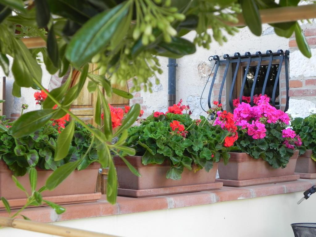 Villa Il Fortino Lido di Camaiore Eksteriør billede