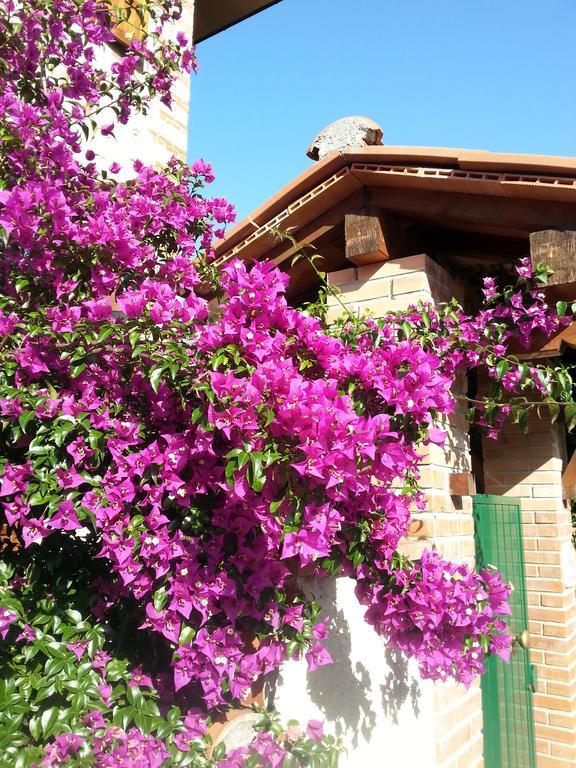 Villa Il Fortino Lido di Camaiore Eksteriør billede