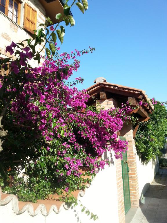 Villa Il Fortino Lido di Camaiore Eksteriør billede